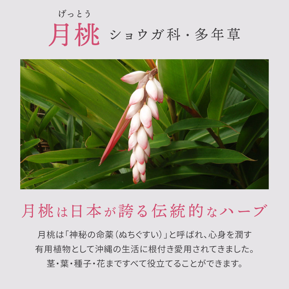 ムーンピーチサーキュレイトオイル 60ml