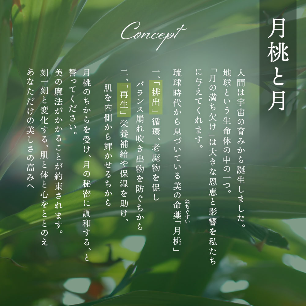 ムーンピーチサーキュレイトオイル 20ml