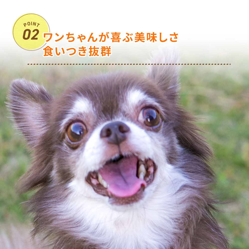 DOG STANCE鹿肉ジャーキー(チップ)