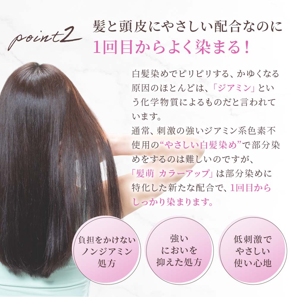 いつも10%OFF定期宅配】髪萌カラーアップ｜ヘアケア｜髪萌（白髪染め