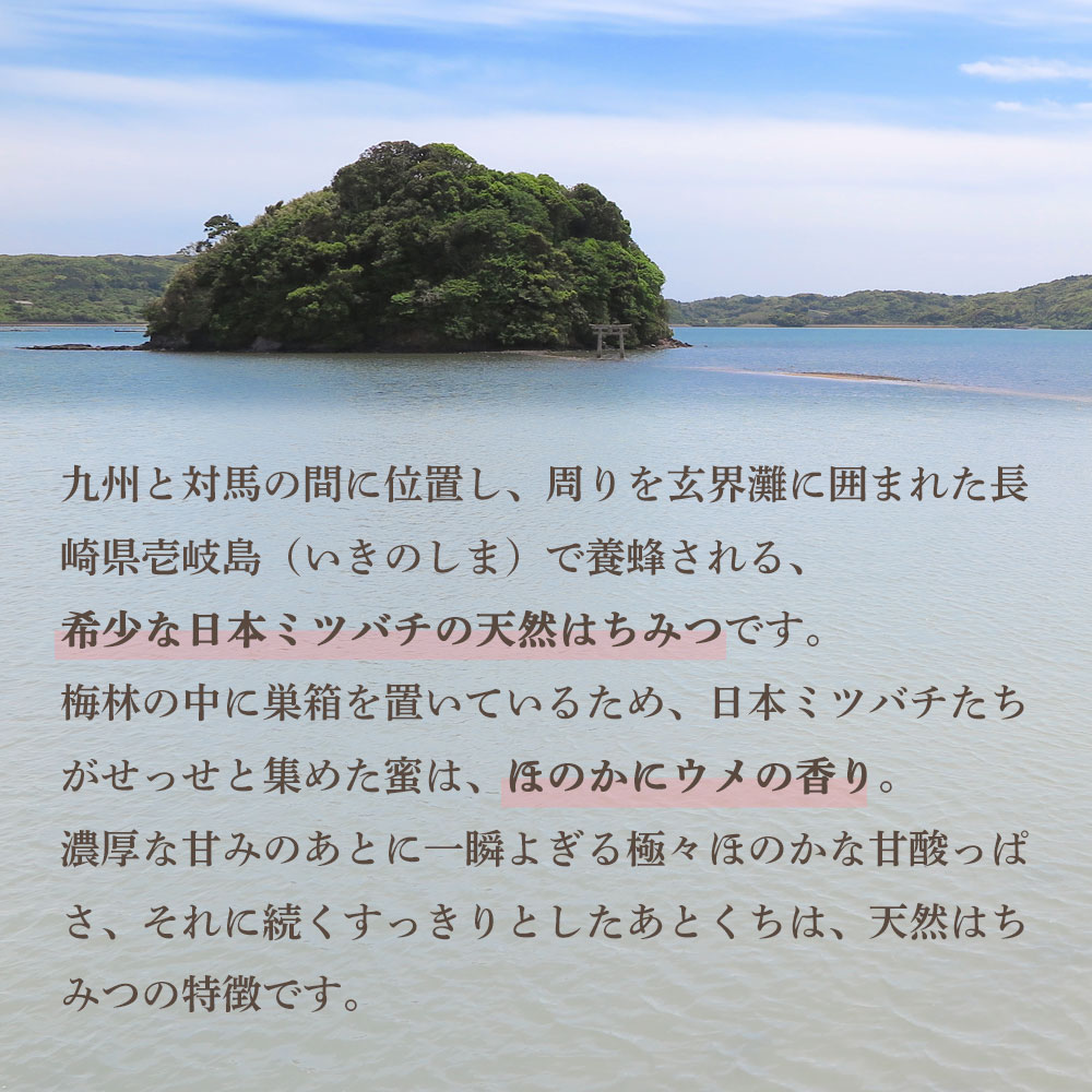 UU 天然はちみつ