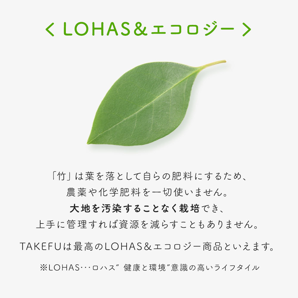 TAKEFU うるおいマスク 竹布 タケフ たけふ