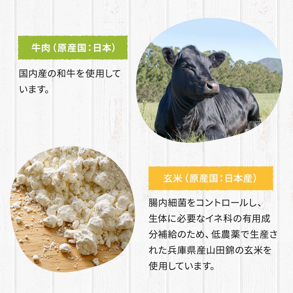 DOG STANCE ドッグフード鹿肉麹熟成800g ×4袋 Amazon | 国産 無添加 鹿肉 ドッグフード【ドッグスタンス 鹿肉