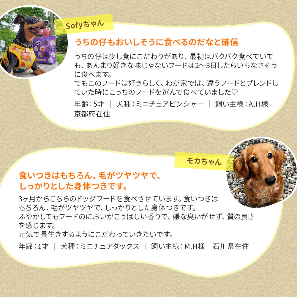 定期宅配】[少量タイプ]DOG STANCE 鹿肉ベーシック｜ドッグフード