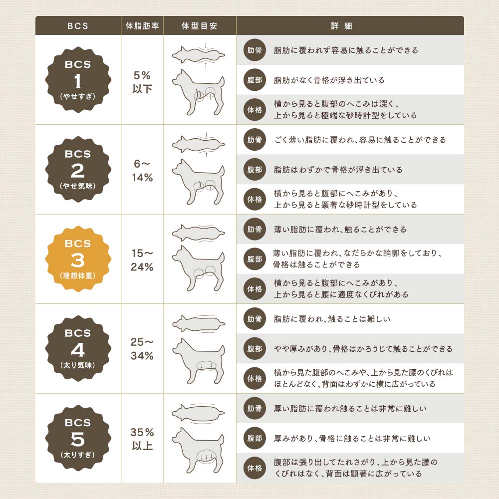 少量タイプ]DOG STANCE 鹿肉 ライト｜ドッグフード｜健康通販