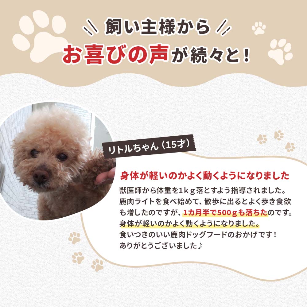 少量タイプ]DOG STANCE 鹿肉 ライト｜ドッグフード｜健康通販