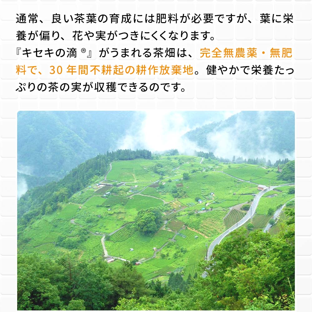 【定期宅配】月のしずく茶の実オイルイン ローション 145ml