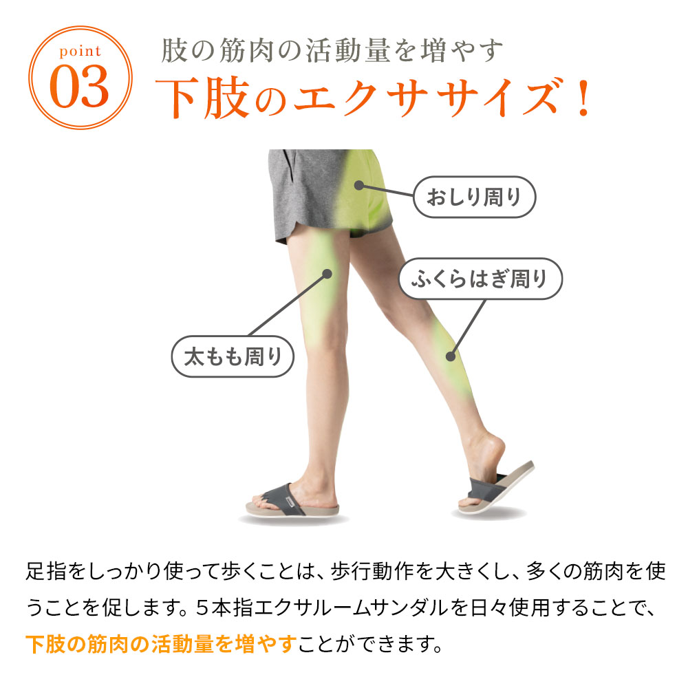 5本指エクサ ルームサンダル