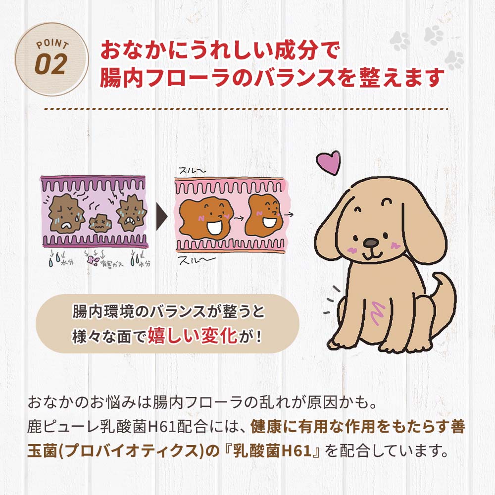 鹿ピューレ乳酸菌H61配合 10本