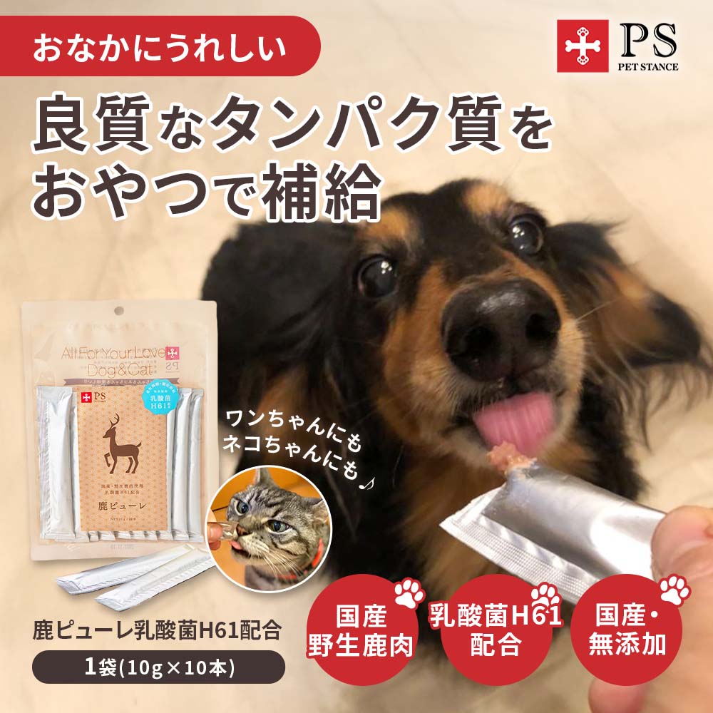 鹿ピューレ乳酸菌H61配合 10本