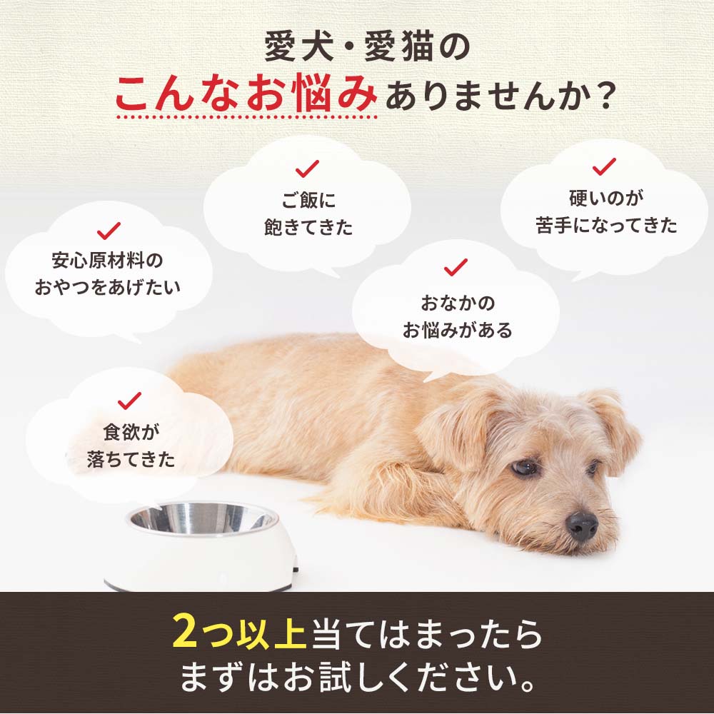 【定期宅配】鹿ピューレ 10本