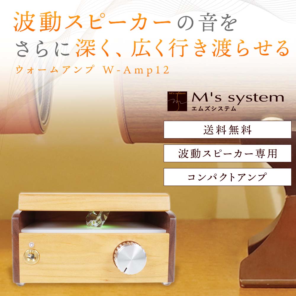M's system AMP12 RS-0802 波動スピーカー　アンプ M's system AMP12 RS-0802 波動スピーカー アンプ