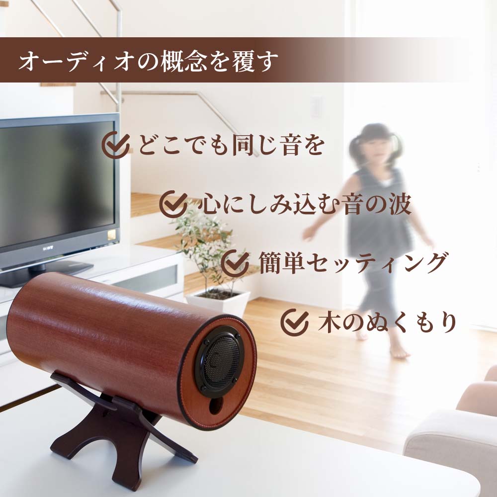 ポジティブ（波動器） 超音波音速計・黒鉛球状化率測定 ZX5-DL | ダコタ・ジャパン