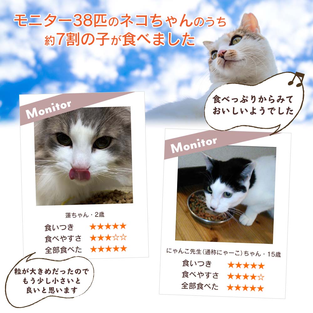 【定期宅配】CATSTANCE鹿肉 ドライ1kg