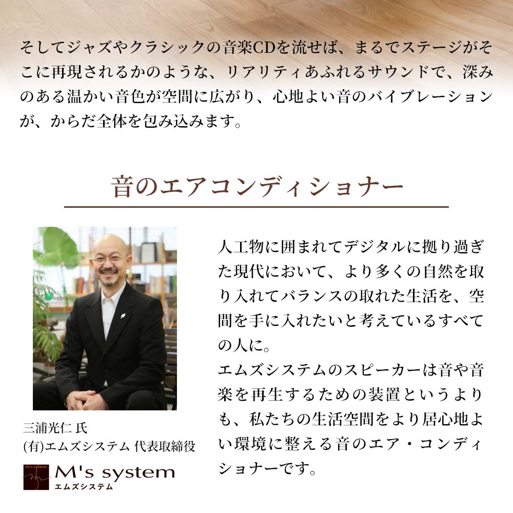 波動スピーカー ウォームアンプ+スイッチャーセット