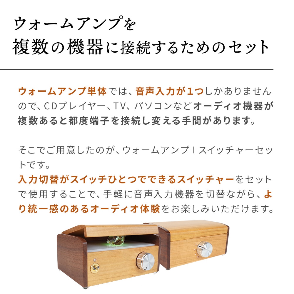 波動スピーカー ウォームアンプ+スイッチャーセット