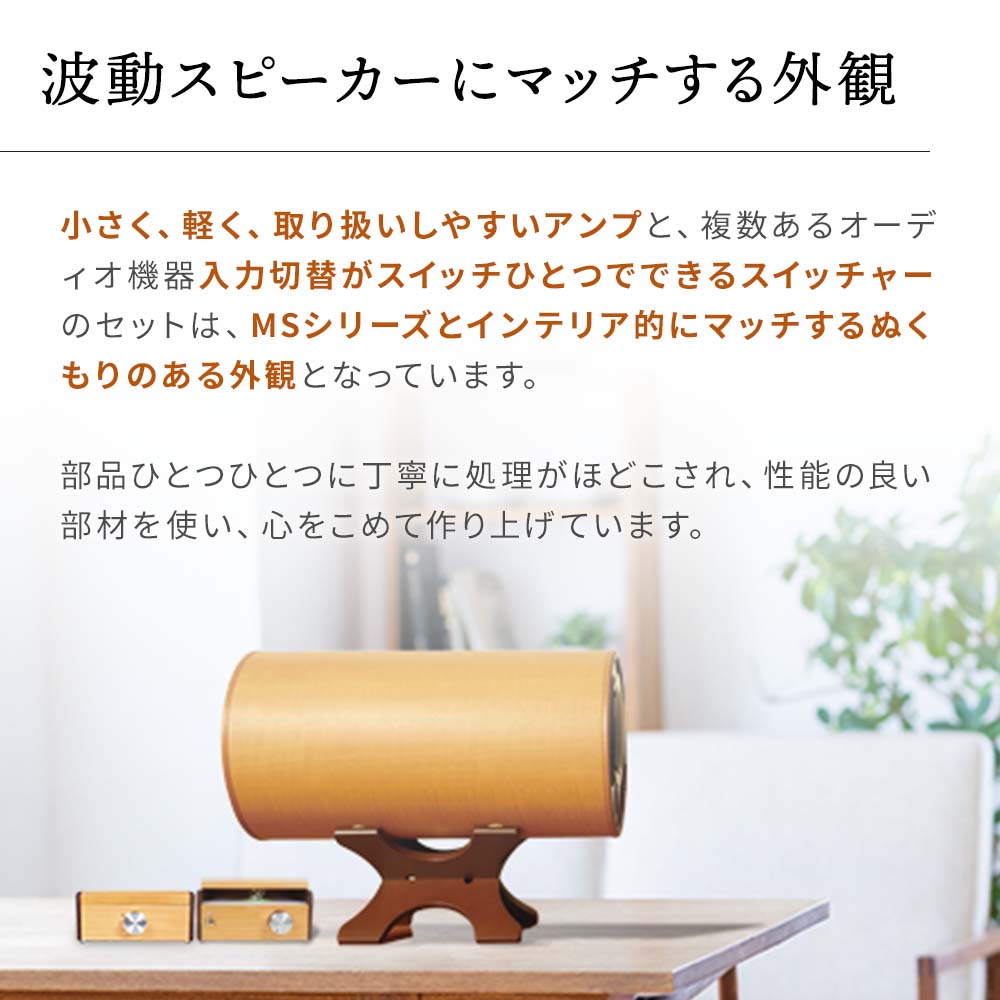 波動スピーカー ウォームアンプ+スイッチャーセット