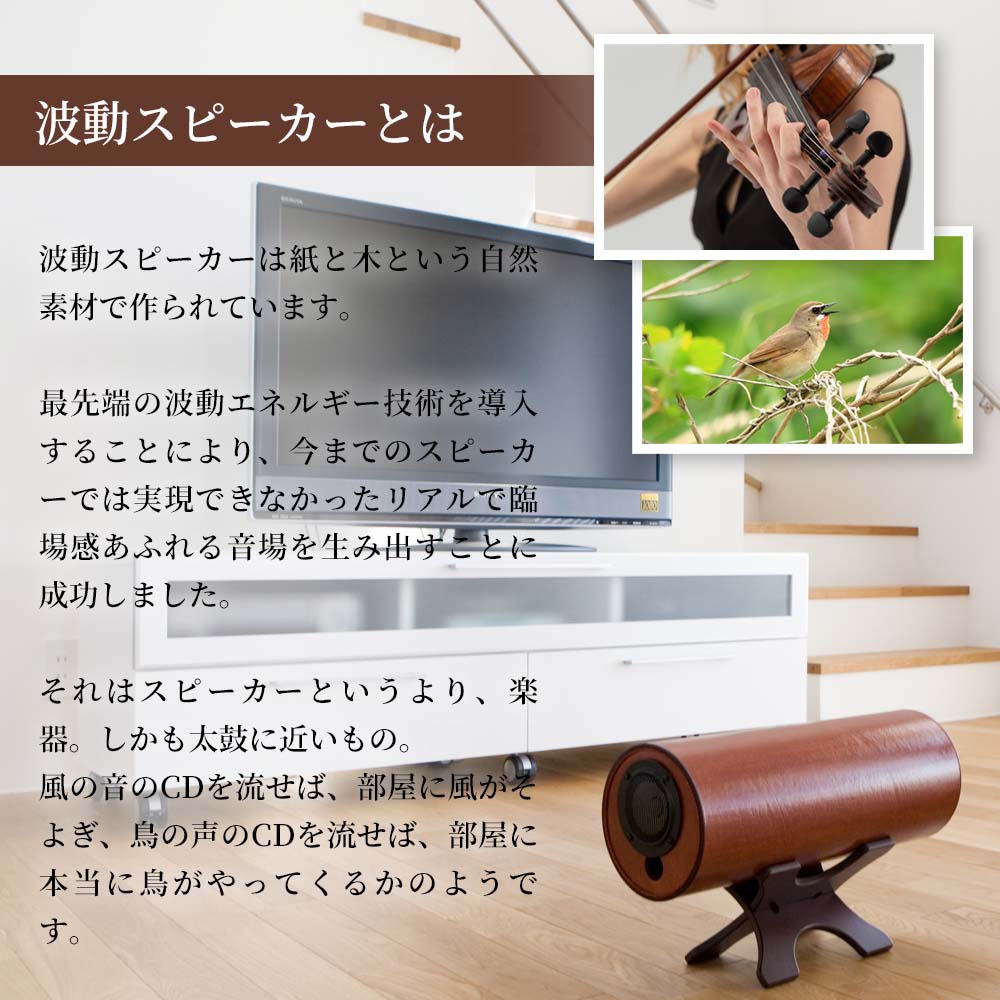 波動スピーカー ウォームアンプ+スイッチャーセット