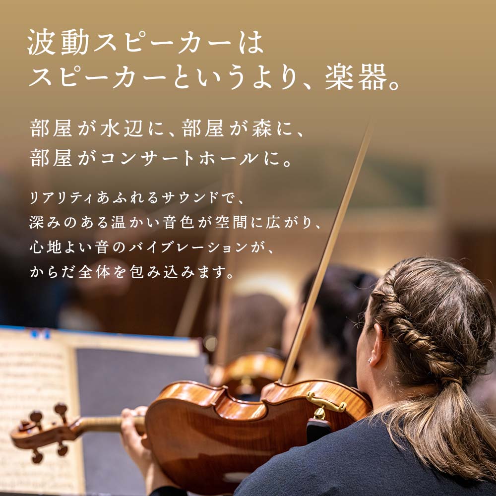 テレビ用波動スピーカー MTVS