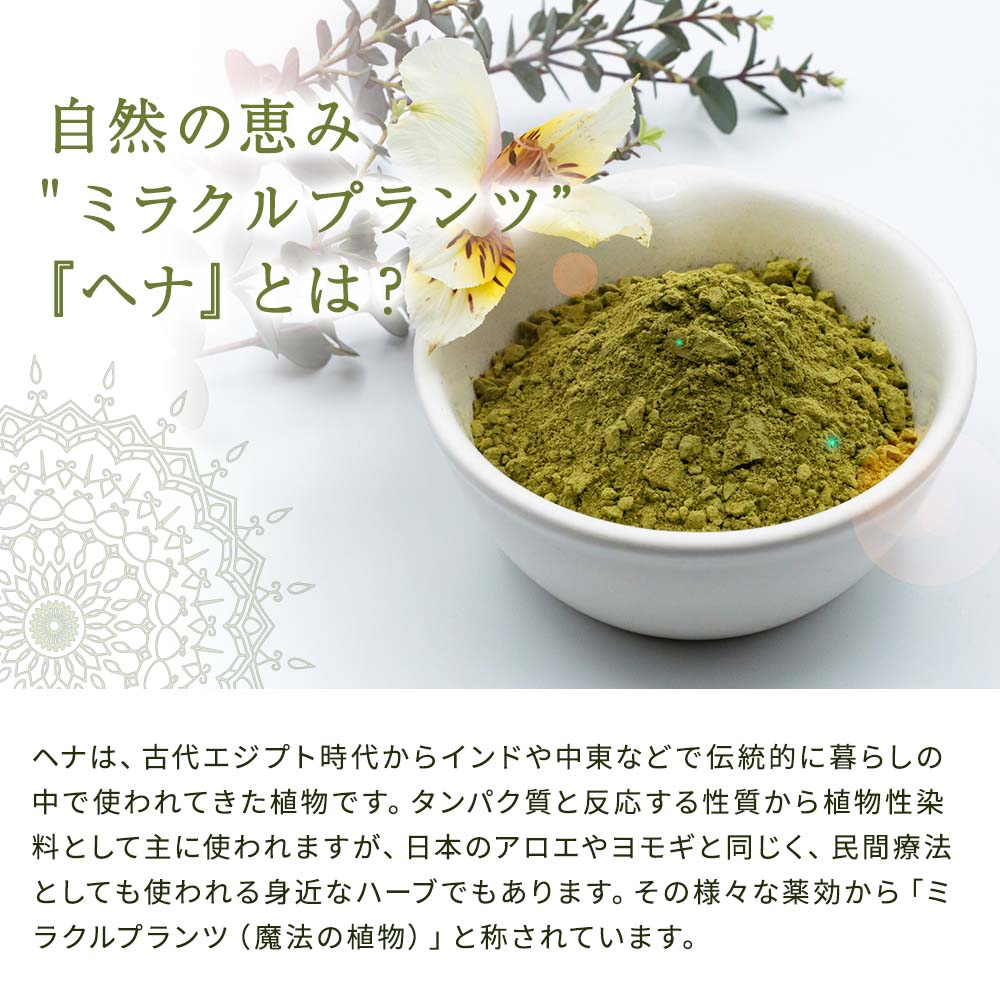 カルナリッチオイル(頭皮・肌用)