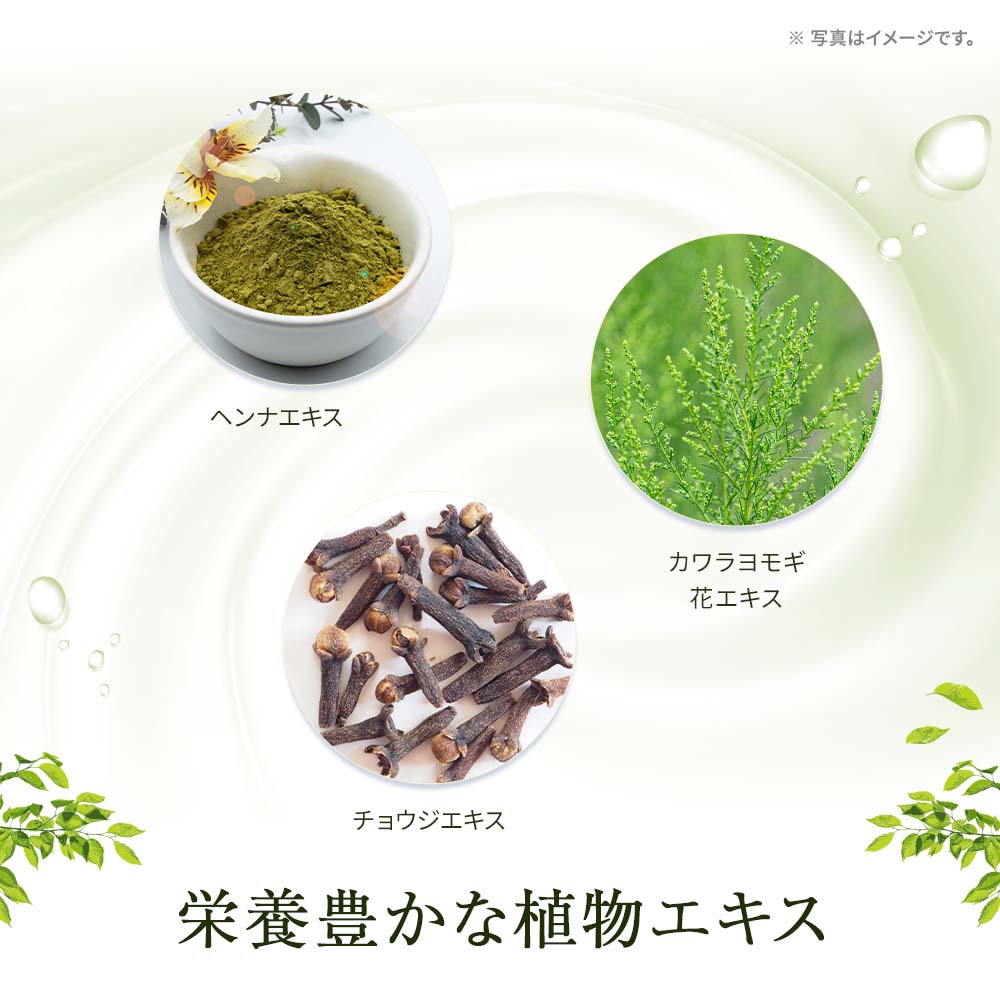 カルナリッチ スカルプローション