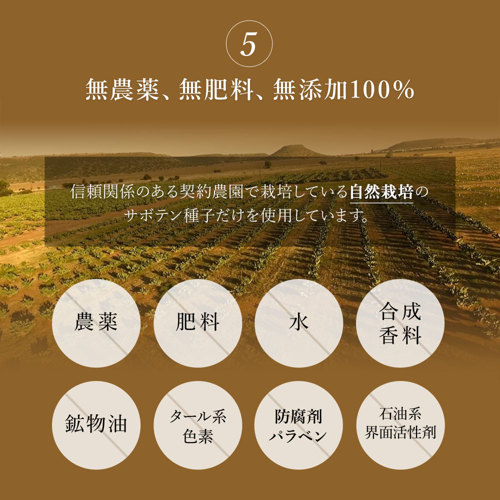 ウチワサボテンオイル CACTI ブレンドオイル