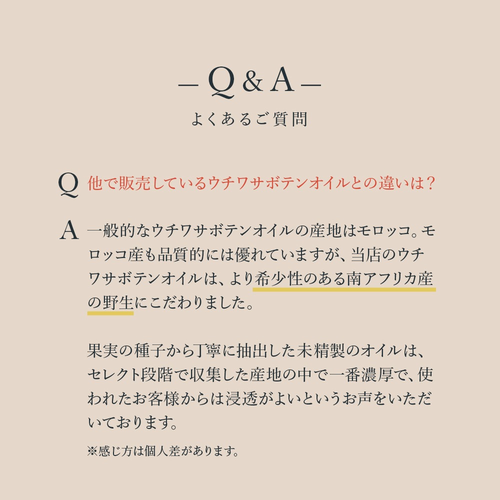 ウチワサボテンオイル CACTI ブレンドオイル
