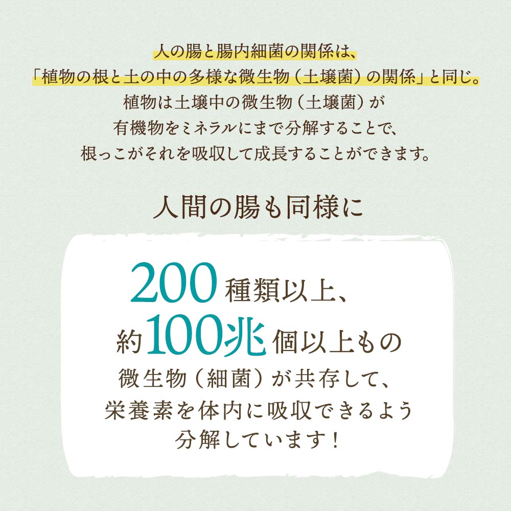 11種の乳酸菌×100種の土壌細菌群 土壌菌サプリメント 土のフローラ