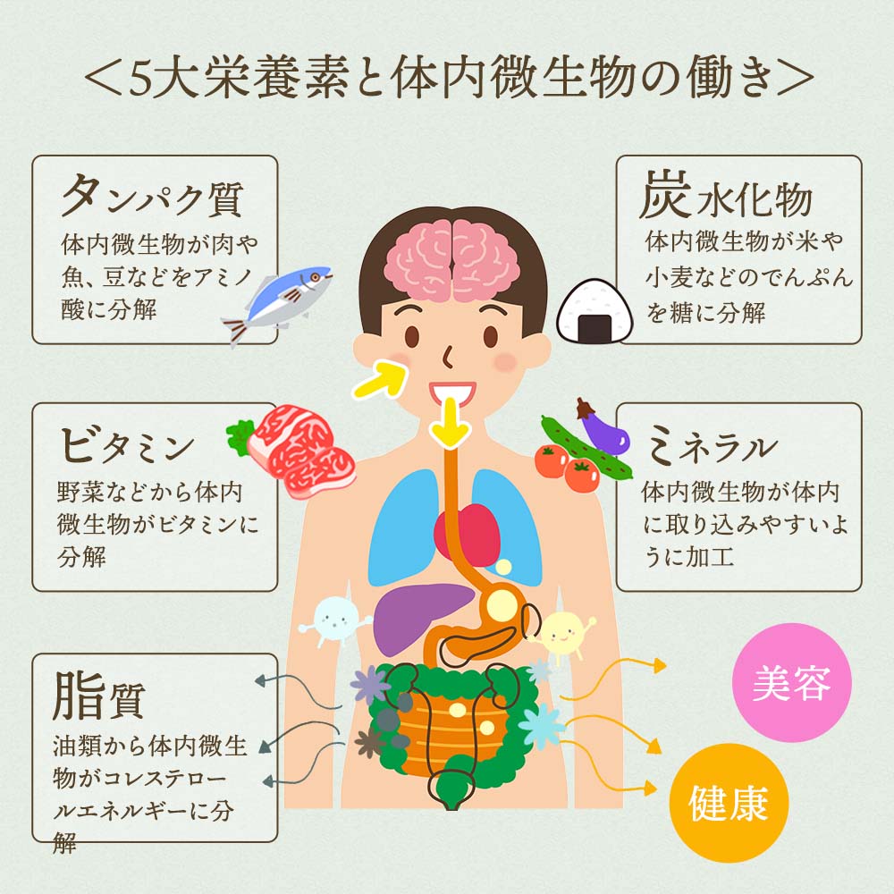 11種の乳酸菌×100種の土壌細菌群 土壌菌サプリメント 土のフローラ