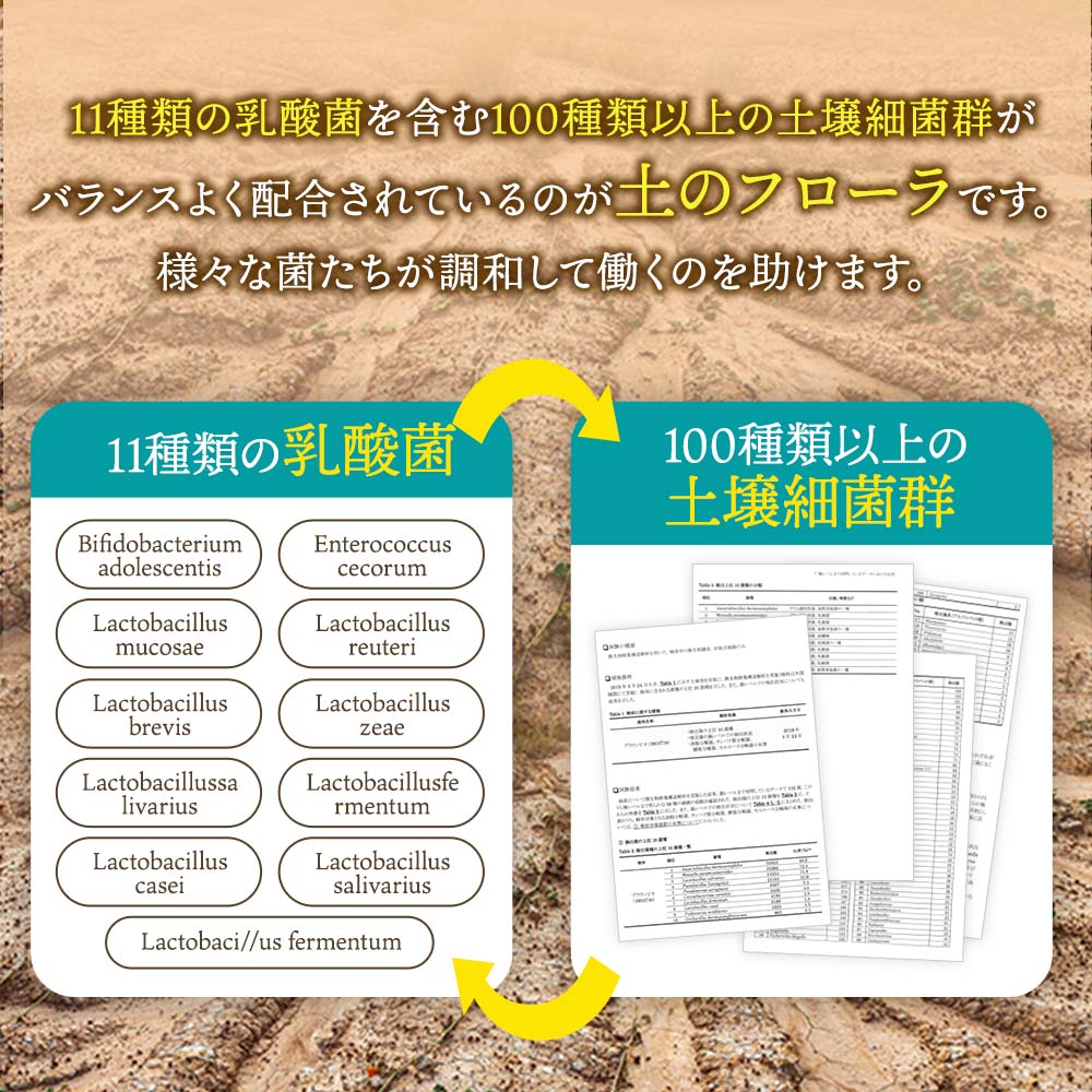 11種の乳酸菌×100種の土壌細菌群 土壌菌サプリメント 土のフローラ