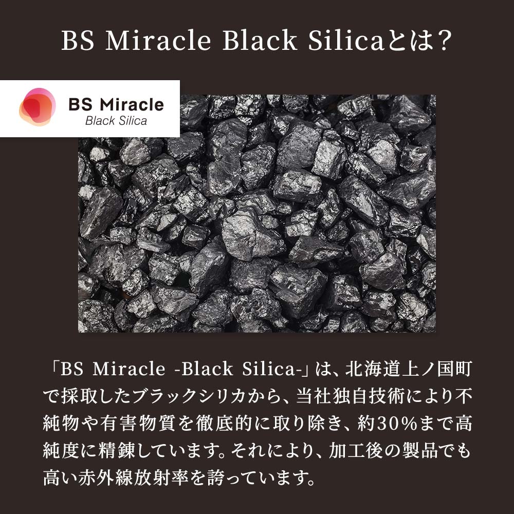 ブラックシリカ プロモサーモパッドミニ 2個セット 遠赤外線 健康