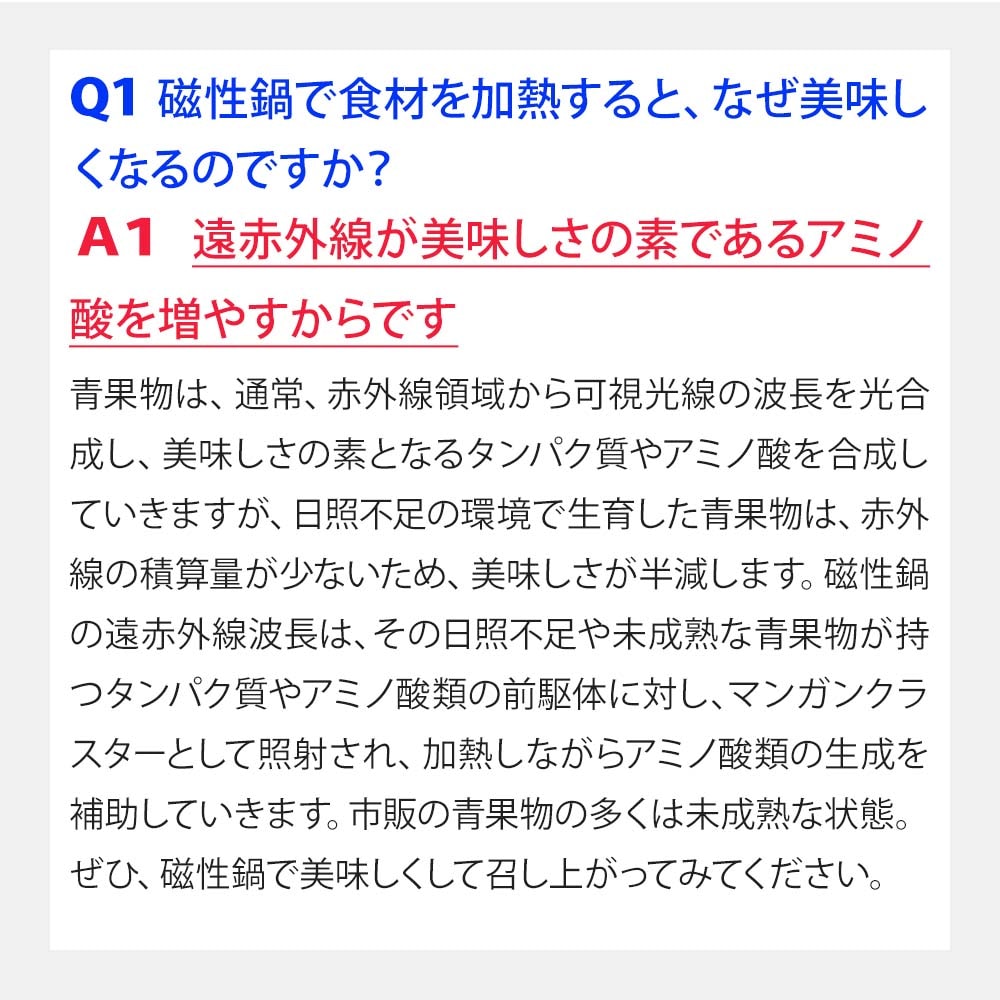 磁性鍋 両手鍋Lサイズ｜電磁波対策｜雑貨・日用品｜健康通販