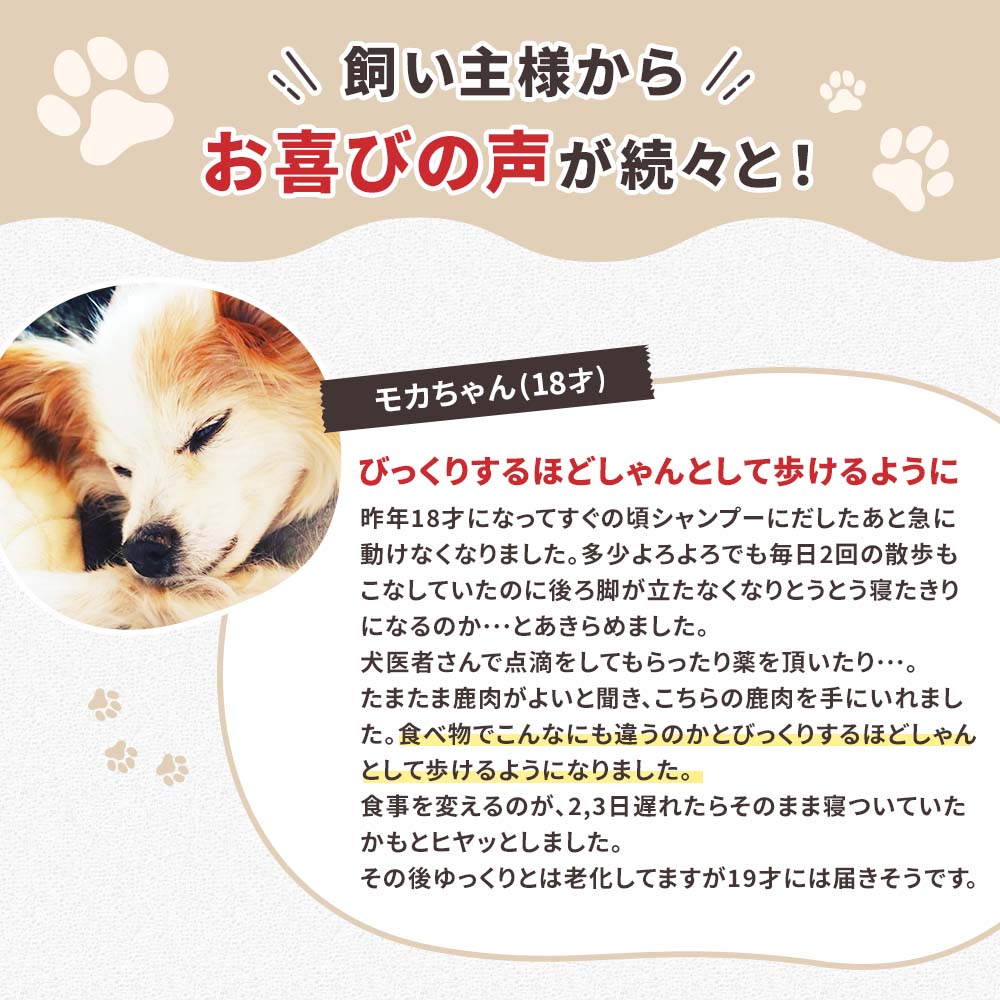 DOG STANCE 鹿肉 ウェット