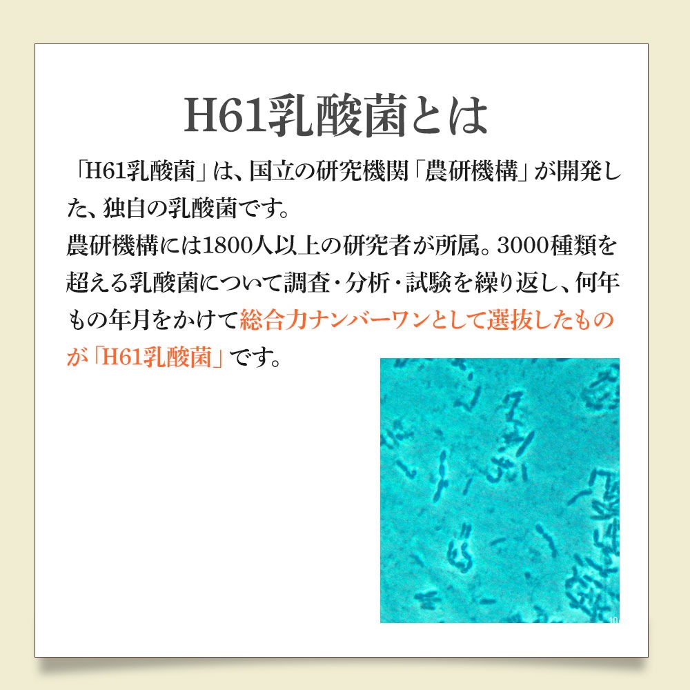 H61株乳酸菌 AGEX（エイジェクス）｜健康食品・サプリメント｜健康通販