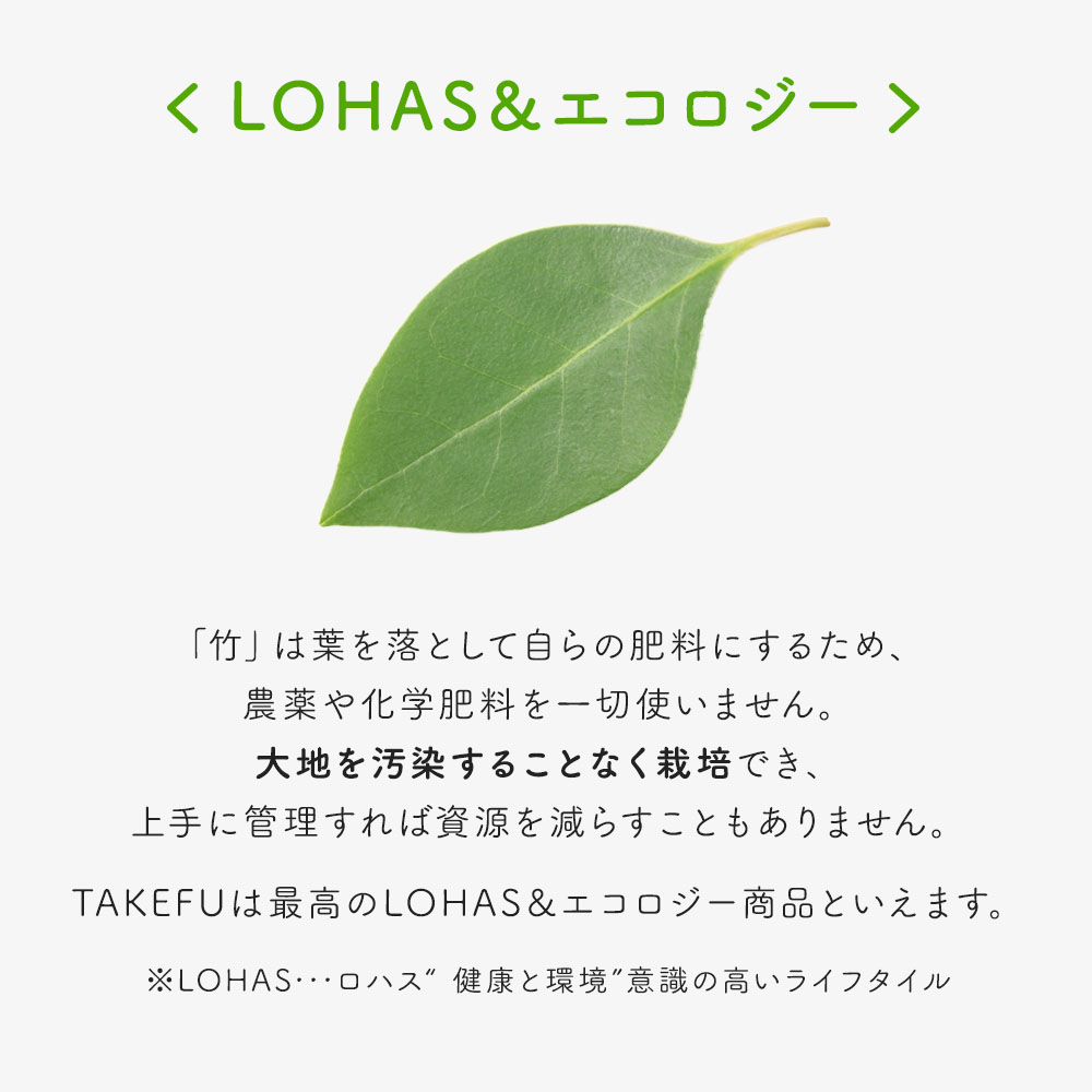 TAKEFU(竹布)癒布 長袖ボトルネック ネコポス送料無料｜抗菌性と