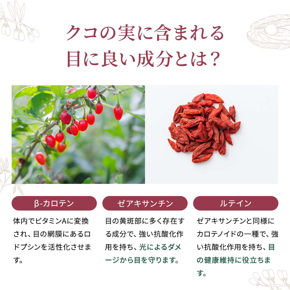 【定期宅配】イマココ・ストア 守晴透(しゅせいとう) 和漢の知恵でクリアな毎日をサポート 180粒×2個セット