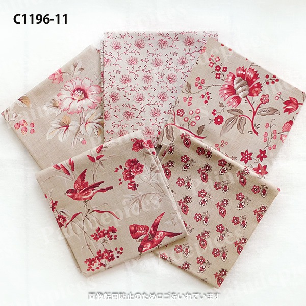 �ˣӥ��쥯�ȥ��åȥ��������å�5���C1196��