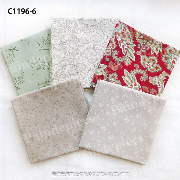 �ˣӥ��쥯�ȥ��åȥ��������å�5���C1196��