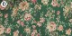 Fleuriste a parisѥβֲڣˣӣ