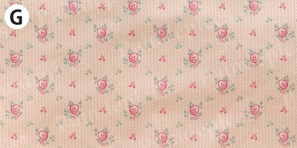 ��֡ڣˣӣ�������