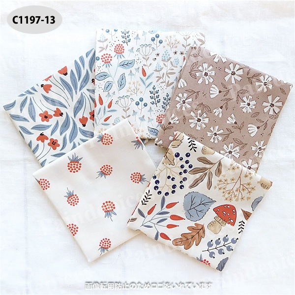 �ˣӥ��쥯�ȥ��åȥ��������åȣ����C1197��