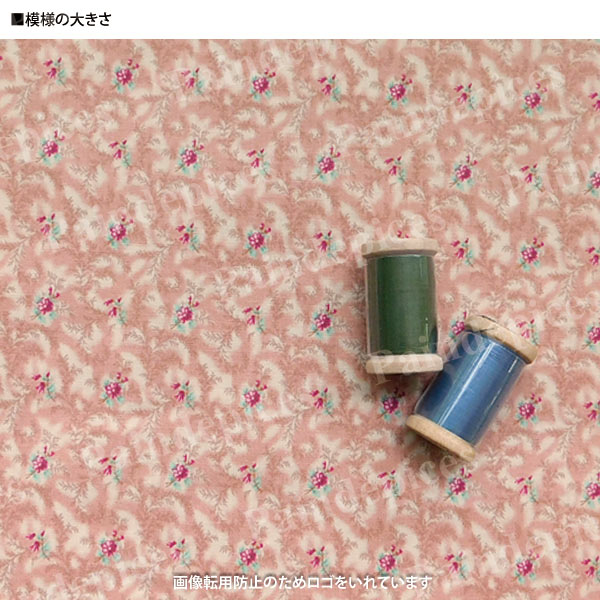 �ᥤ����������ڣˣӣ�������