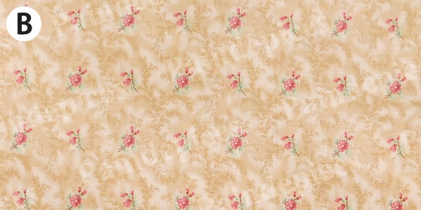 �ᥤ����������ڣˣӣ�������