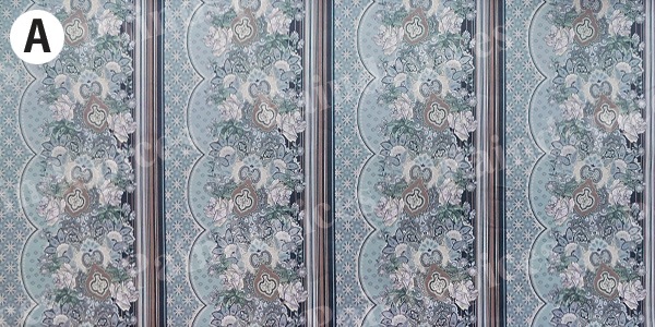 SanaeSelection��1251747��