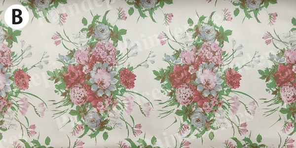 SanaeSelection��1251749��