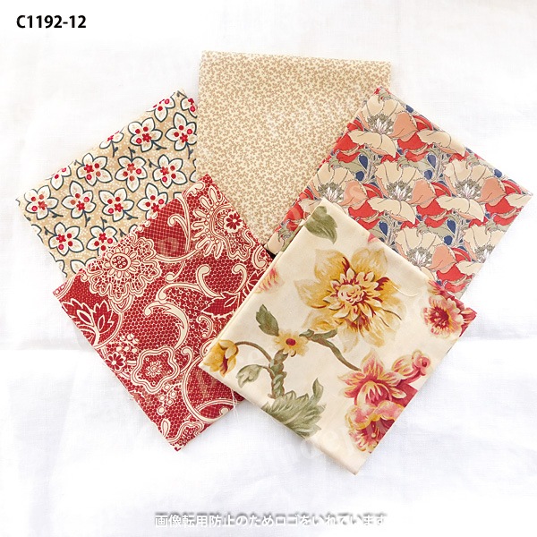 �ˣӥ��쥯�ȥ��åȥ��������åȣ����C1192��