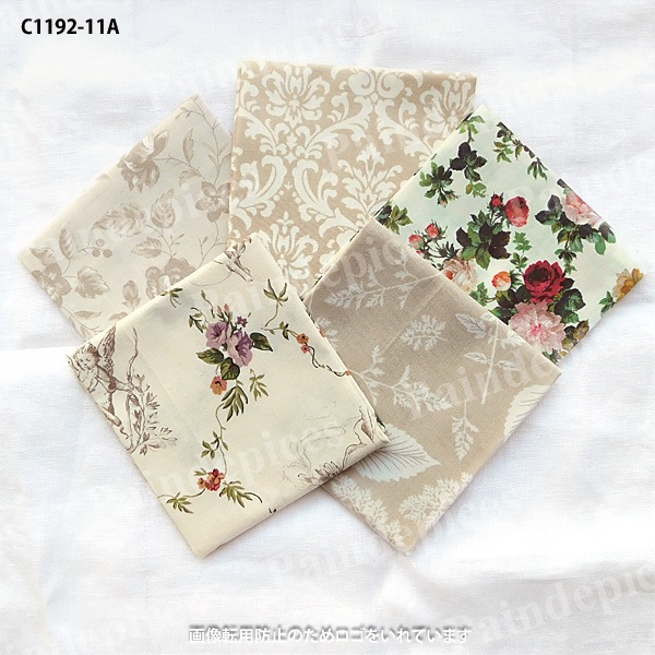 �ˣӥ��쥯�ȥ��åȥ��������åȣ����C1192��