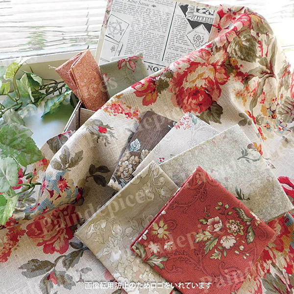 �礭�ʲ����ȥ��åȥ��������åȣ����S121��