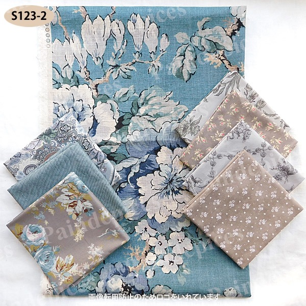 �礭�ʲ����ȥ��åȥ��������åȣ����S123��