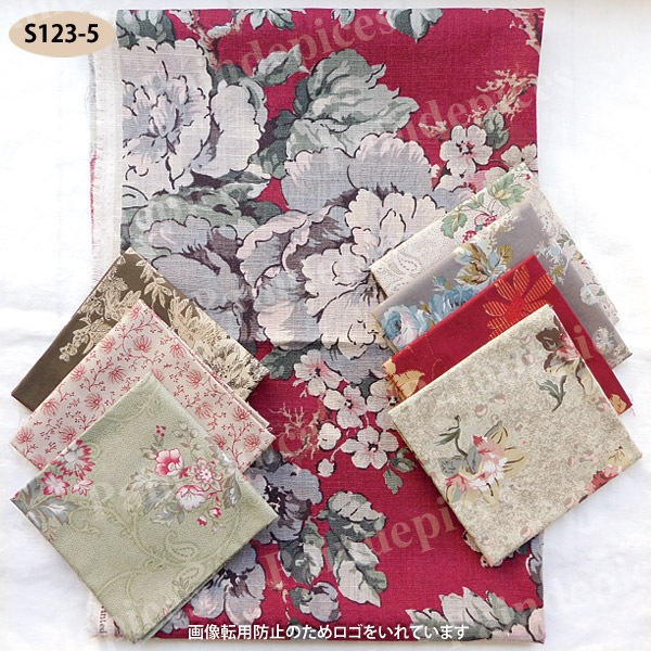 �礭�ʲ����ȥ��åȥ��������åȣ����S123��